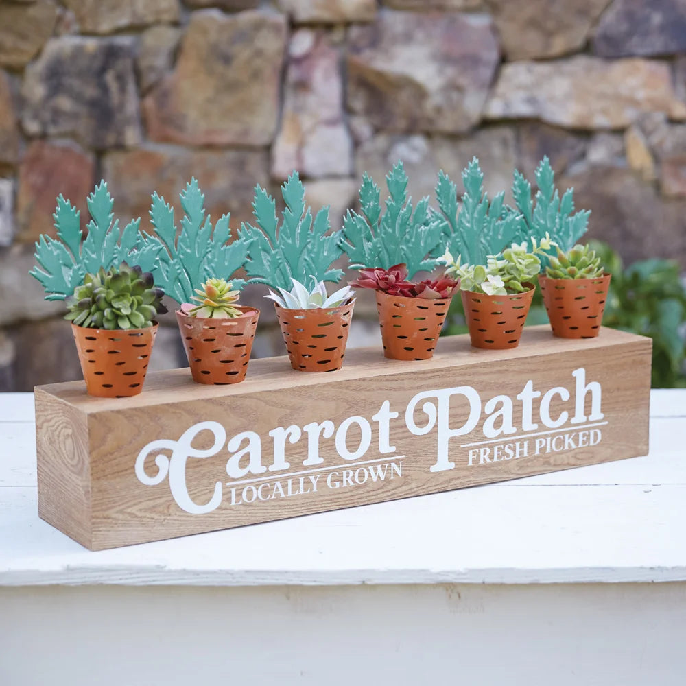 Carrot Patch Display Box Front View
