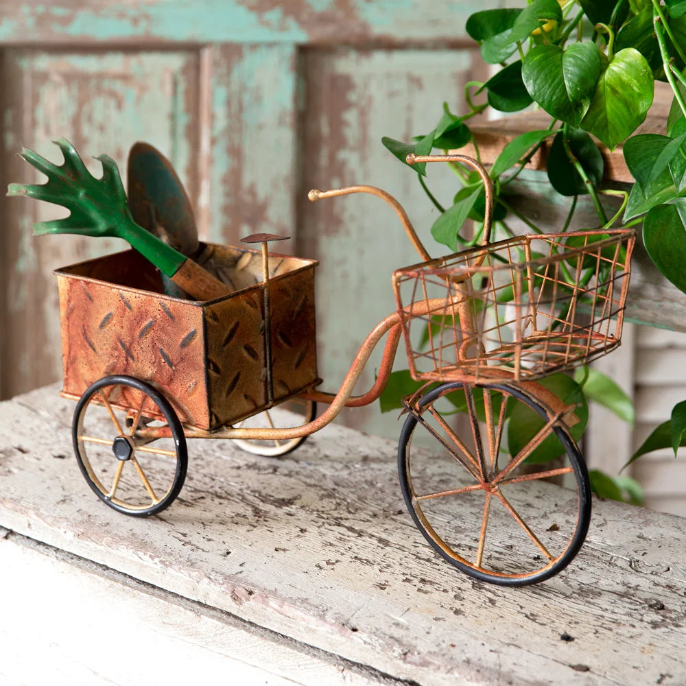 Metal Bicycle for Planting